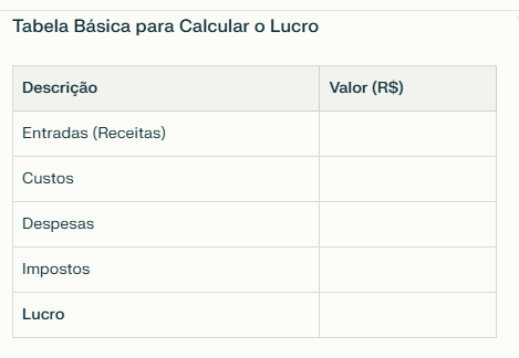 Como Calcular o Lucro da Sua Empresa Rápido 1